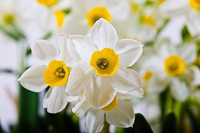 《冤罪执行游戏Yurukill》上架Steam 7月8日发售